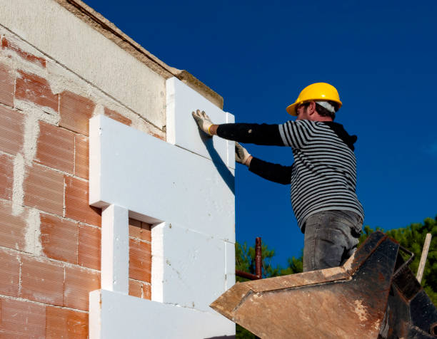 Best Specialized Insulation Services in Senath, MO