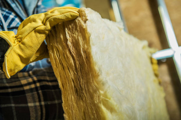 Best Insulation Maintenance and Repair in Senath, MO