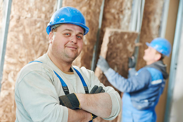 Best DIY Insulation Kits and Guidance in Senath, MO